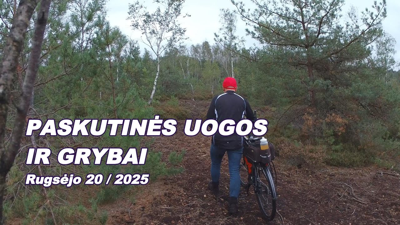 Paskutinės Uogos ir Grybai