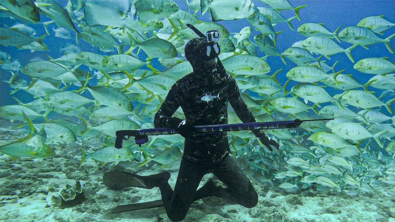 SPEARFISHING & LIVING ON THE REEF  (Boat Breakdown!)