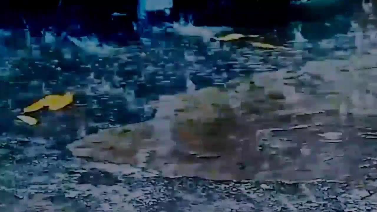 Deep Sleep Rain Sounds | Heavy Rainfall for Insomnia Relief