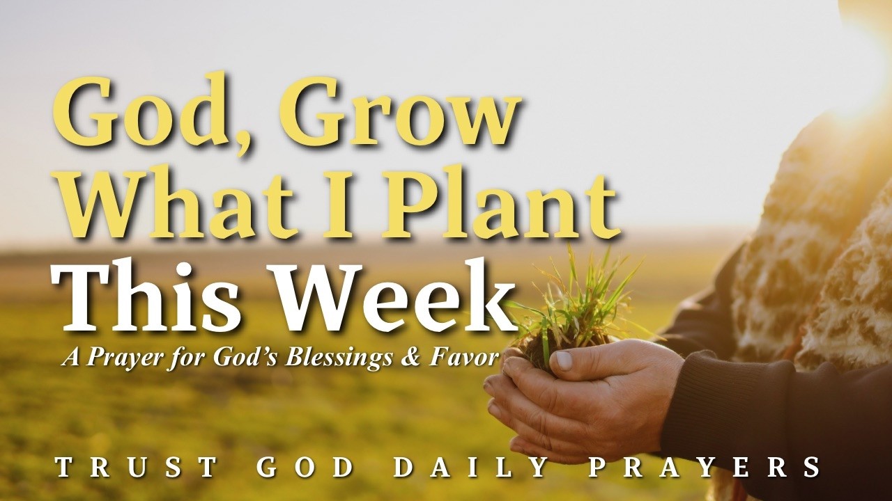 February 23rd Prayer for New Week Blessings | God’s Breakthrough Starts with a Seed, Friend