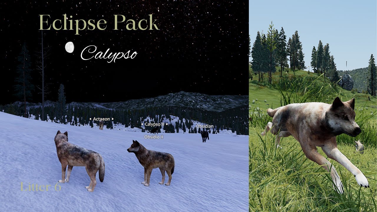 Eclipse Pack - Calypso L6 - Young Hunters/Raise Pups [WolfQuest Saga]