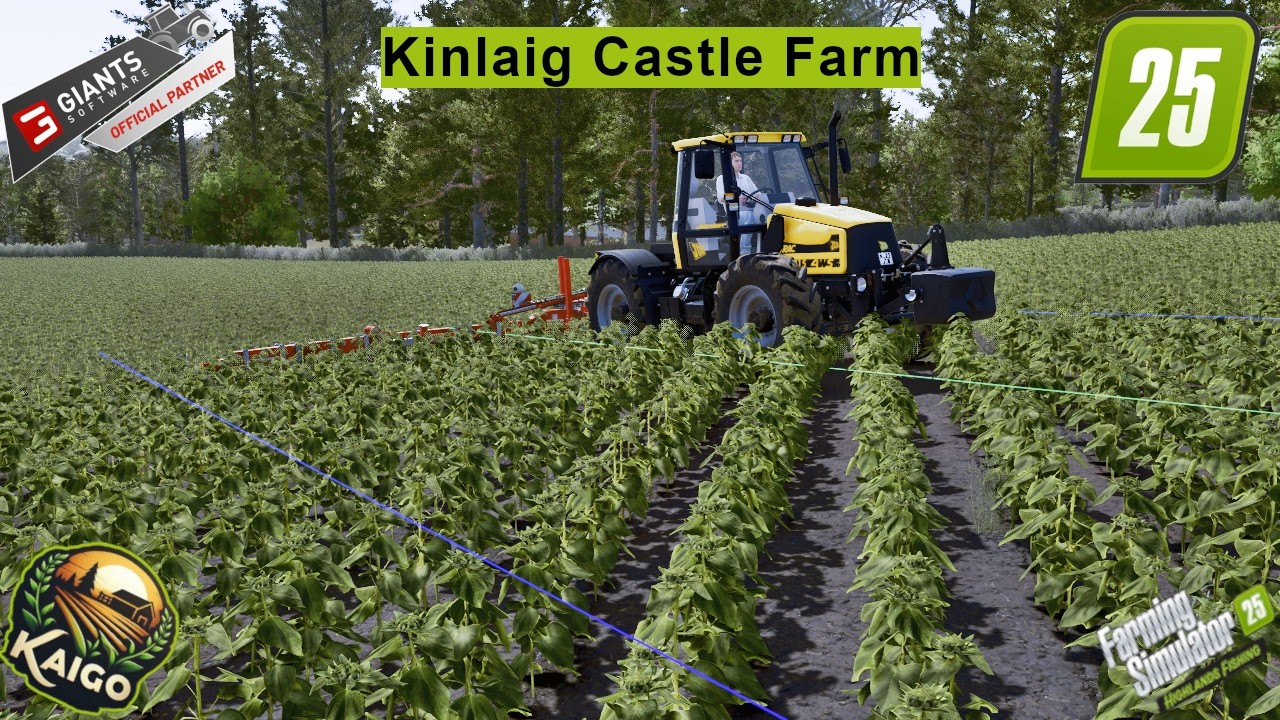 Unkaut wird mit der Hacke gezogen #062 LS25 Kinlaig Castle Farm