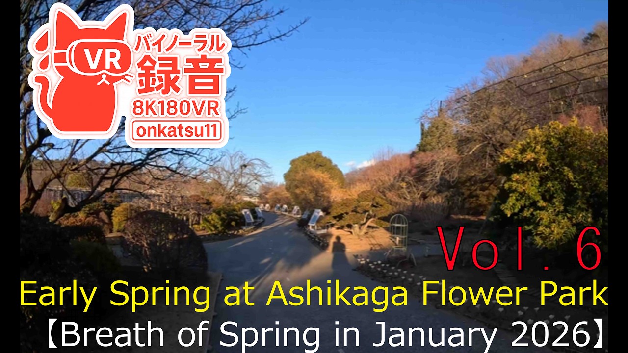 🌱[Early Spring at Ashikaga Flower Park—Breath of Spring in January 2026 (8K VR180)]Chapter Six‼