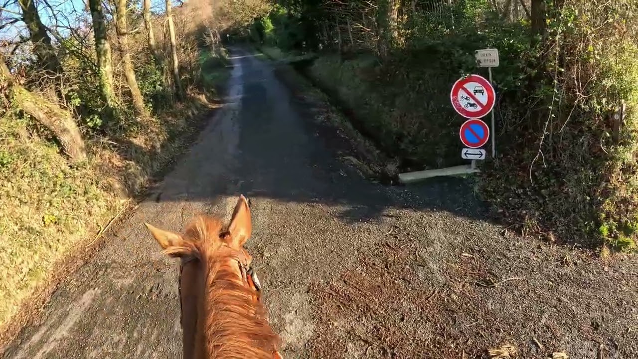 Belle balade à cheval.