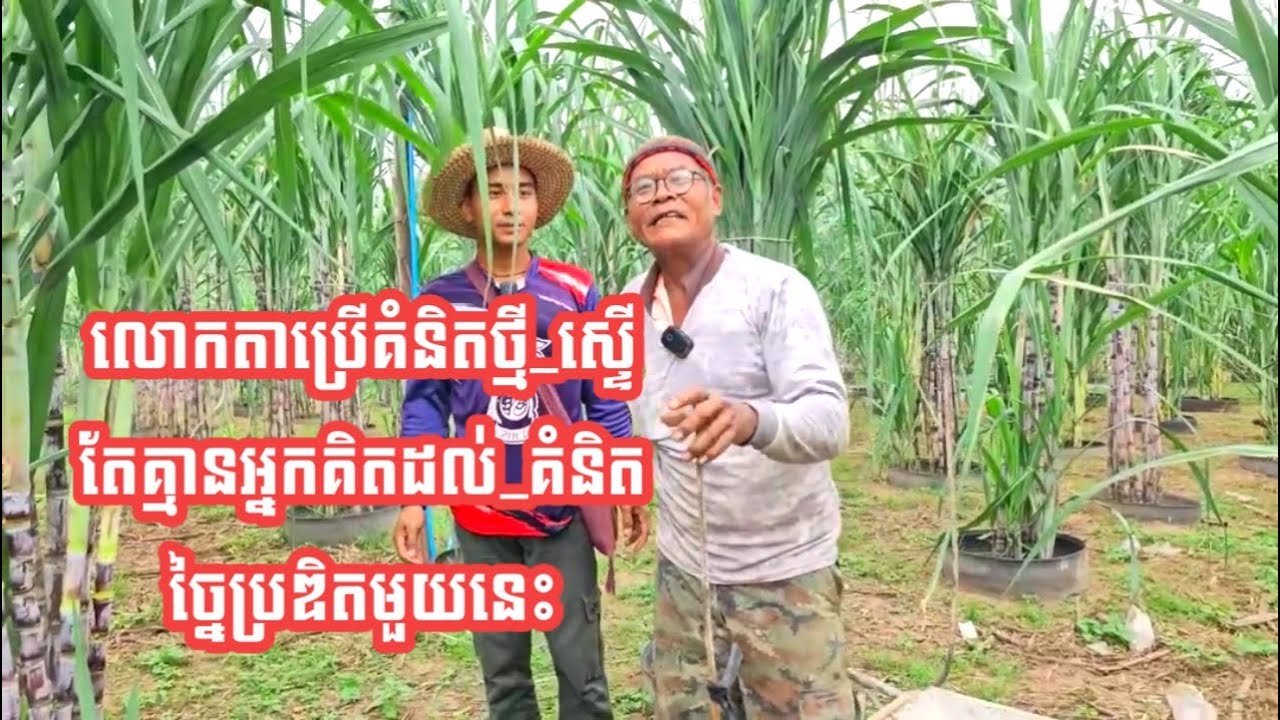 លោកតាប្រើគំនិតថ្មី ស្ទើតែគ្មានអ្នកគិតដល់ គំនិតច្នៃប្រឌិតមួយនេះ