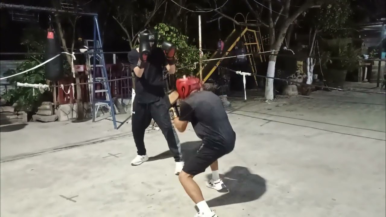 Rabit VS Max