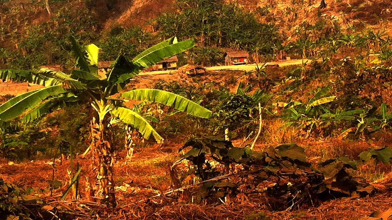 Bandarban Trekking Experience - Ruma to Bogalake