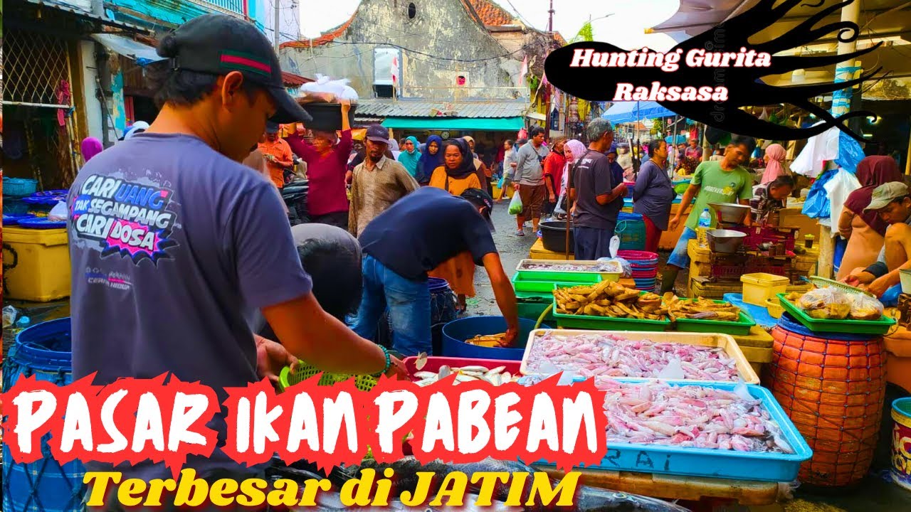 CARI GURITA RAKSASA DI PASAR IKAN PABEAN SURABAYA - SEMUA JENIS IKAN ADA DI SINI !!!