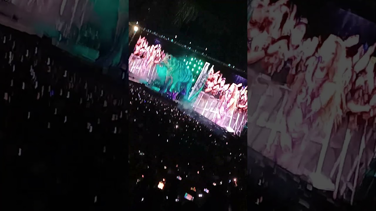 Shakira - A ti te quede Grande y por eso est&aacute;s con una igualita como t&uacute; #concert #music #viral