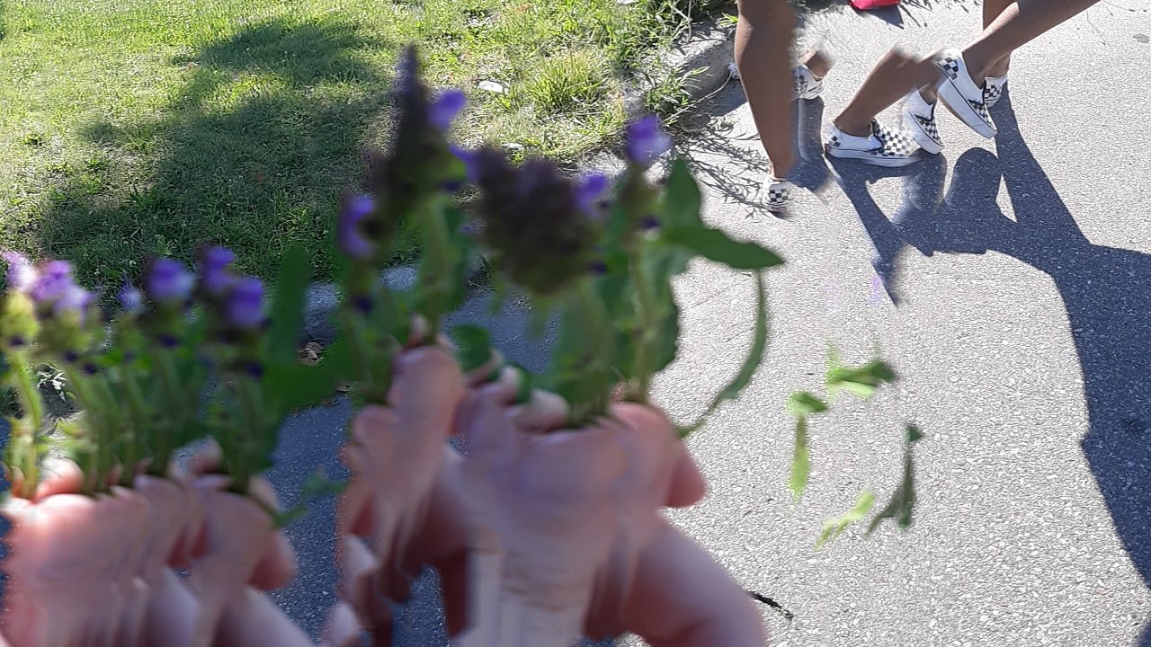 Texas Funeral - Hop Along