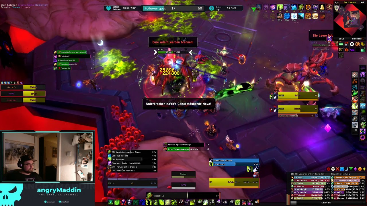 [World of Warcraft ]  The Hivemind - Last Try and Company Firstkill