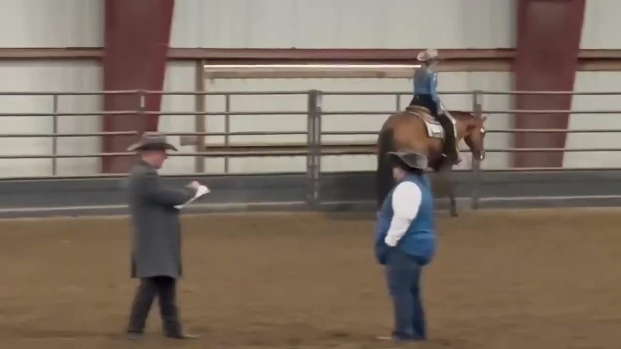 2021 g by Hez Only Trouble, 15-3, winner and point earner in wp, ready for  all-around. In Michigan