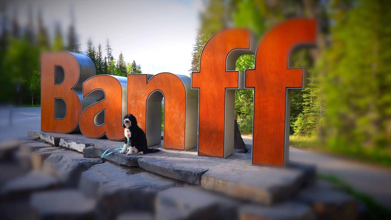 Van Life in Canadian Rockies - Ep. 1 | Banff
