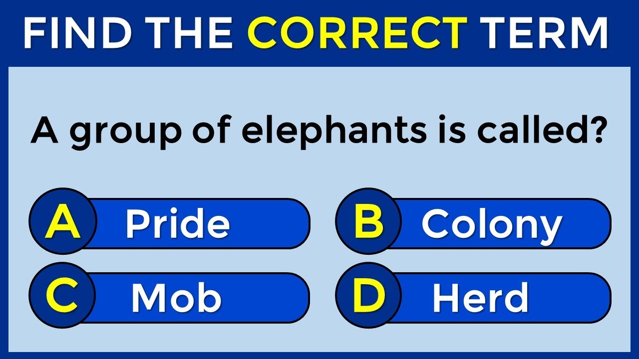 Vocabulary Challenge: Find The Correct Term! #challenge 24