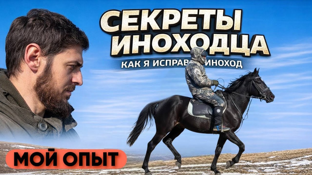 ЧТО ДЕЛАТЬ ЕСЛИ ЛОШАДЬ СБИВАЕТ ИНОХОД