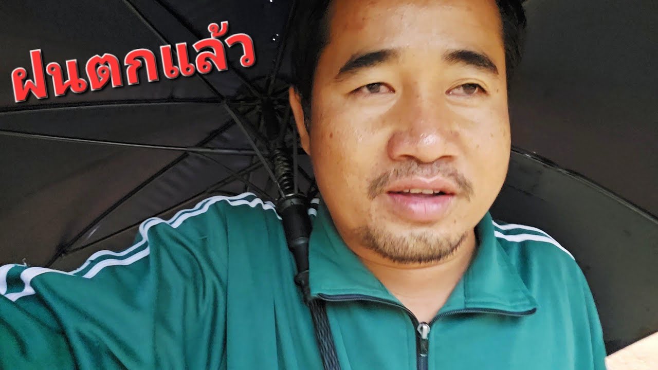 บรรยากาศชุ่มช่ำ.