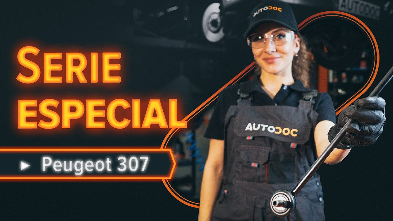 Cómo cambiar los bieletas de suspensión delantero en PEUGEOT 307 SW [VÍDEO TUTORIAL DE AUTODOC]