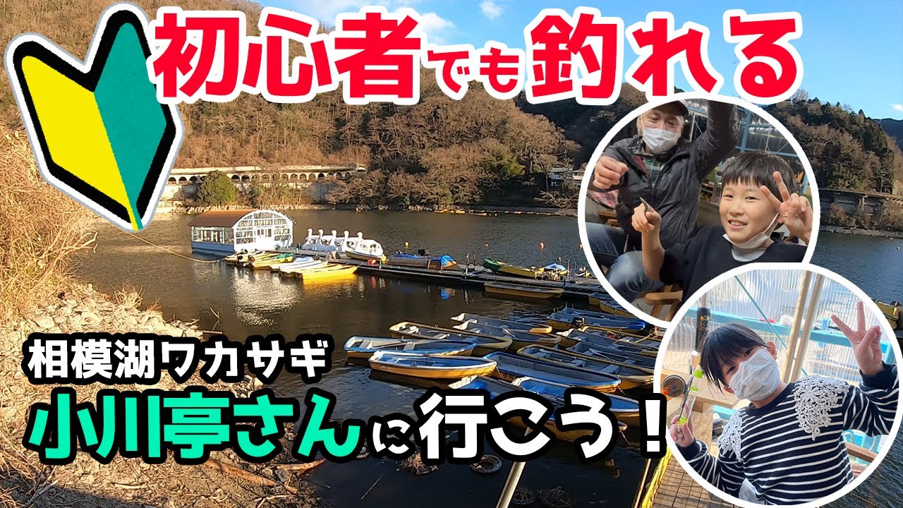 【ワカサギ】初心者見て！冬に楽しめる快適な釣り！小川亭さんドーム船の紹介【相模湖】