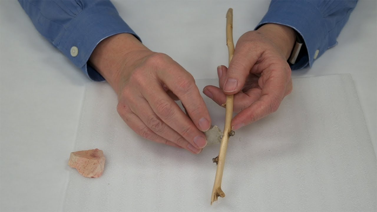 Video Glossary: Spokeshave