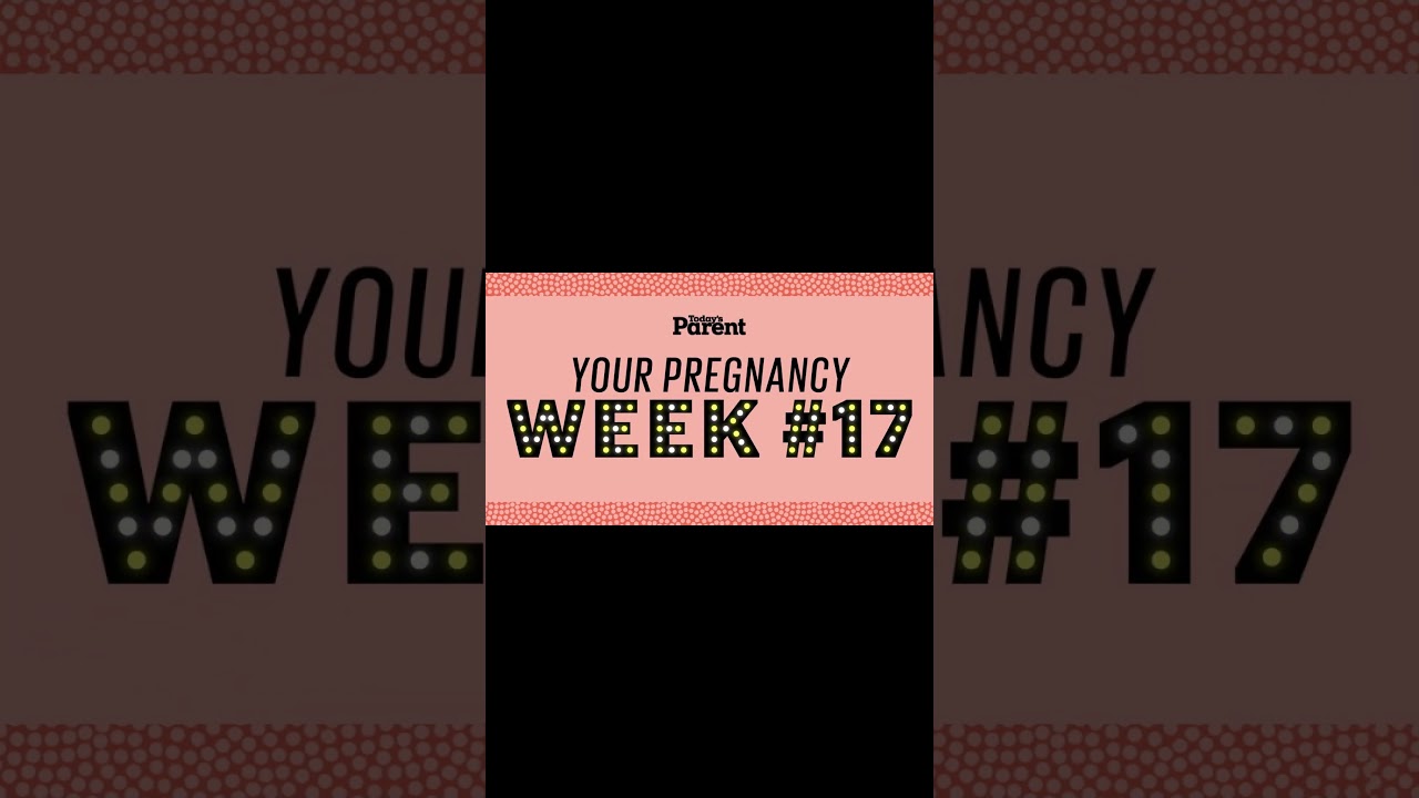 Week 17 Pregnancy   Baby Development