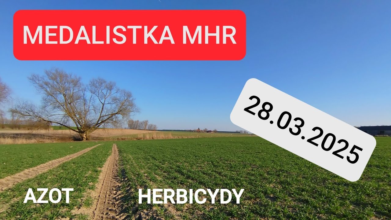 Pszenica ozima Medalistka MHR. Efekt chwastob&oacute;jczy COMPOLA. Poprawka wiosenna - czy wystąpi życia ?