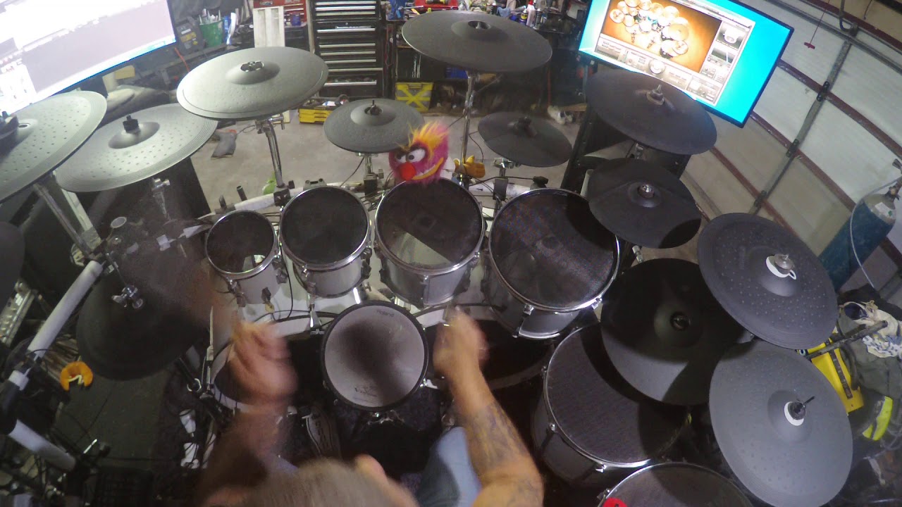Baby Animals Rush you Drum Cover