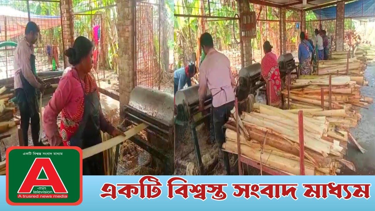 নড়াইলে পরিত্যাক্ত কলার গাছ  থেকে উৎপাদিত হচ্ছে উন্নতমানের সুতা।