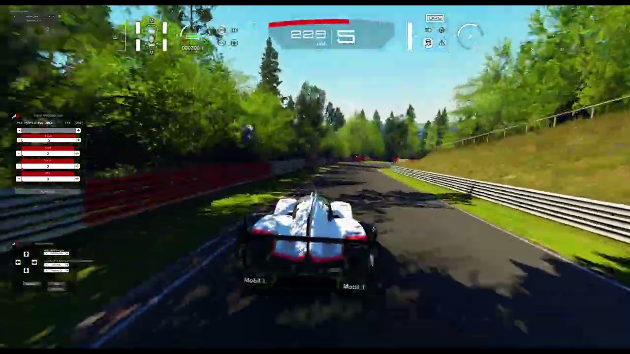 porsche919EVO 2