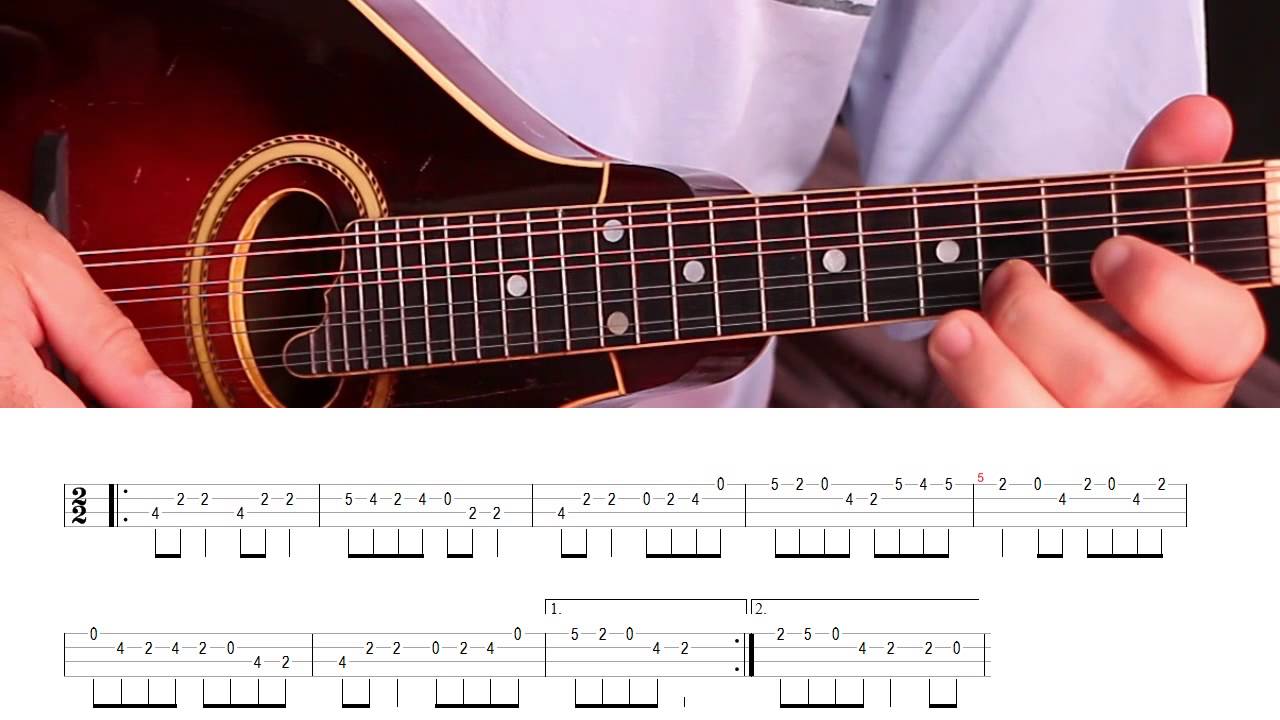 Irish mandolin lessons. Sweeney's Buttermilk (reel)