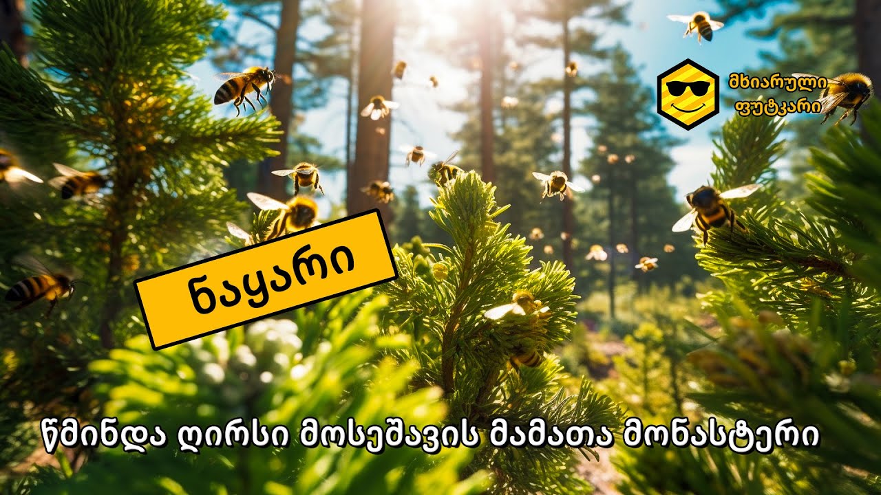 ნაყარი (ფუტკრის ბუნებრივი გამრავლება)