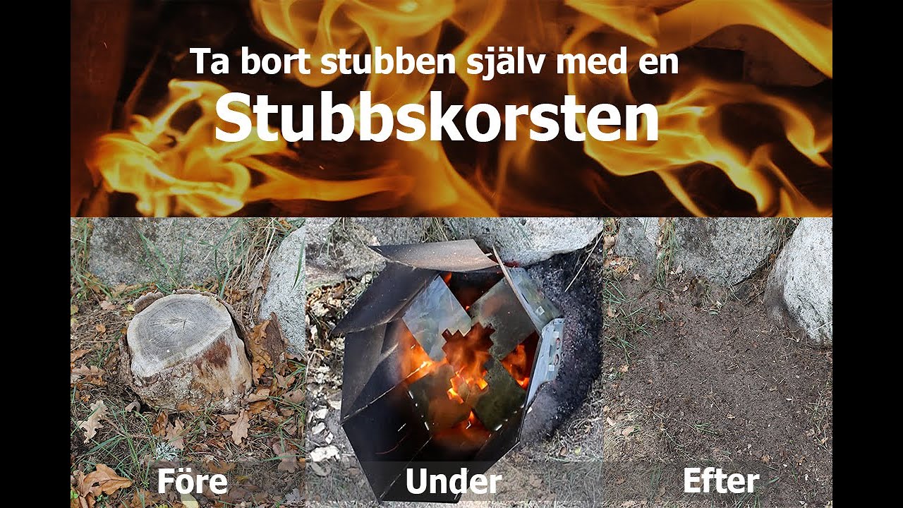 Ta bort stubbar själv med en Stubbskorsten det behövs 1 timmes arbetstid. https://stubbskorsten.se