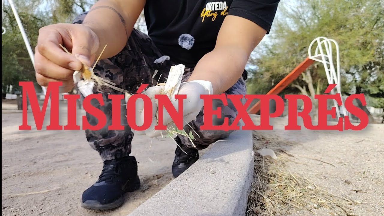 Misión exprés: juntar basura en el parque, #Hermosillo .