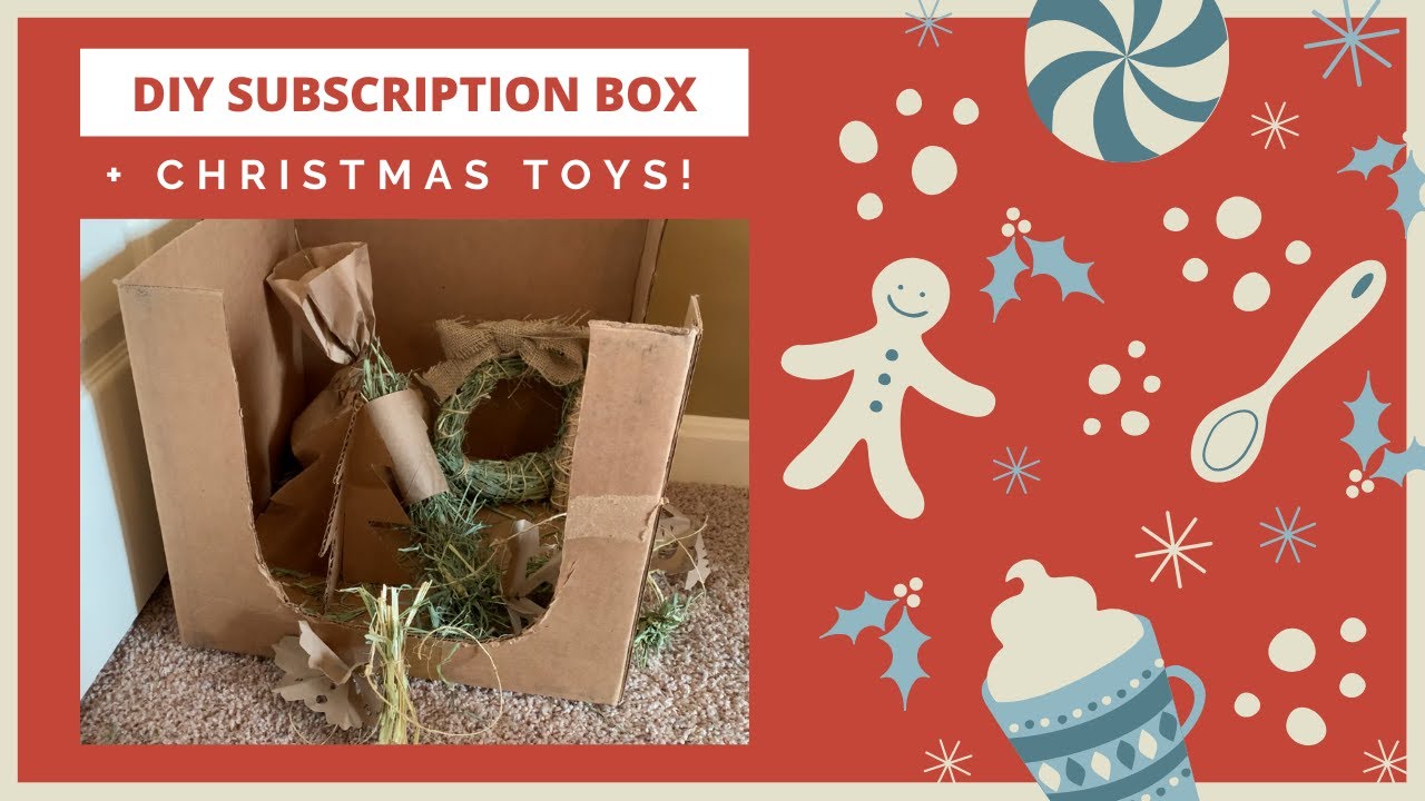 DIY Subscription Box for Rabbits - Christmas Toy Edition!