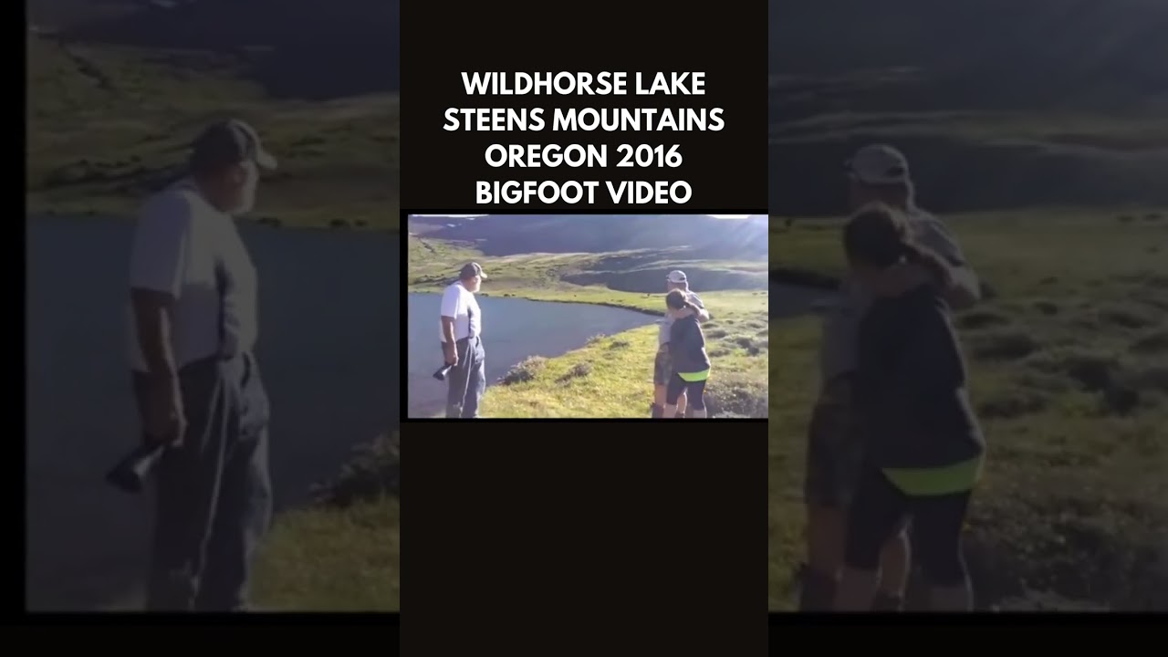 Bigfoot footage from Oregon, circa 2016, Wildhorse Lake, Steens Mountains #bigfoot #sasquatch