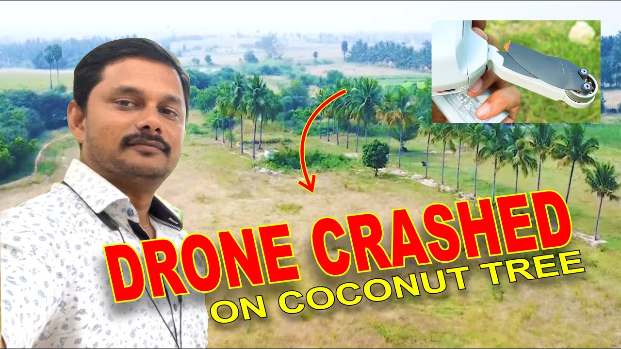 DJI MINI 2 DRONE CRASHED ON COCONUT TREE FALL DOWN / VILLAGE #drone #droneshots #djimini2