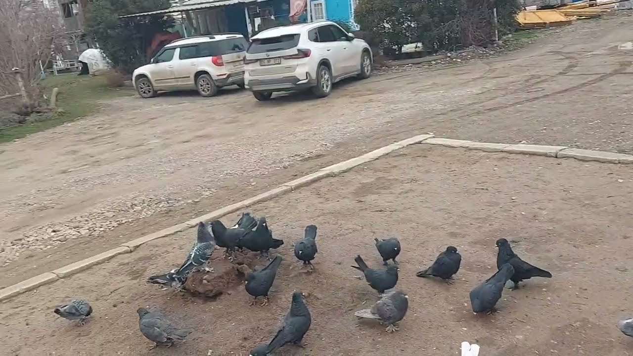 BU GÜNÜN ÖZETİ START VERİLDİ 