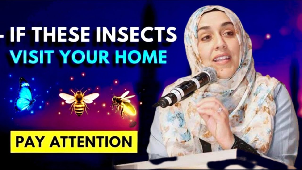 A Sign Allah Wants You to Notice | Yasmin Mogahed | Islamic Reminder | Powerful Lesson