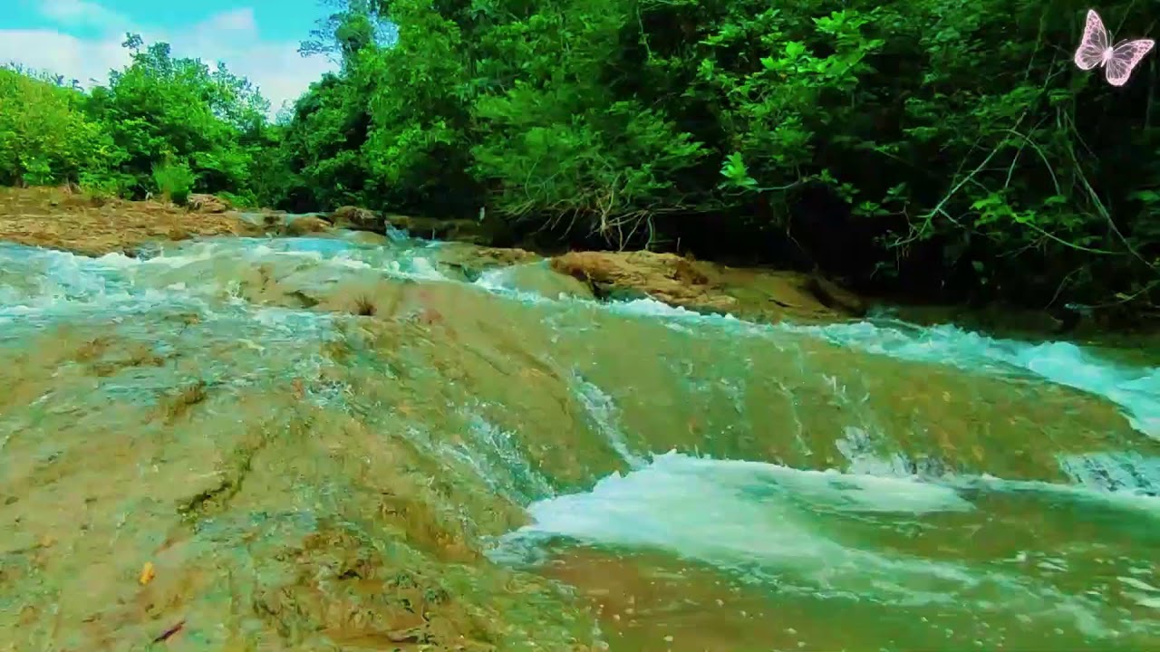 Relaxing Music For Stress Relief, Anxiety and Depressive States🌿 Heal Mind, Sleep Meditation Calm 5