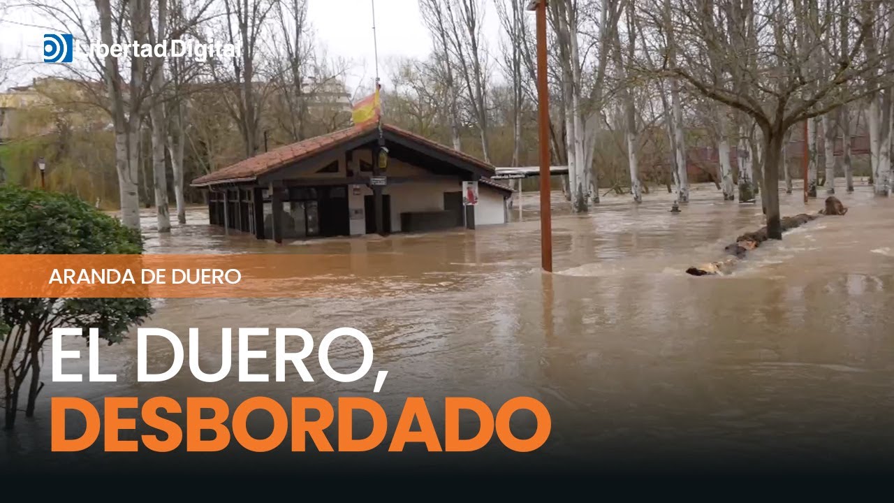 Alerta hidrográfica: El Duero desbordado a su paso por Aranda