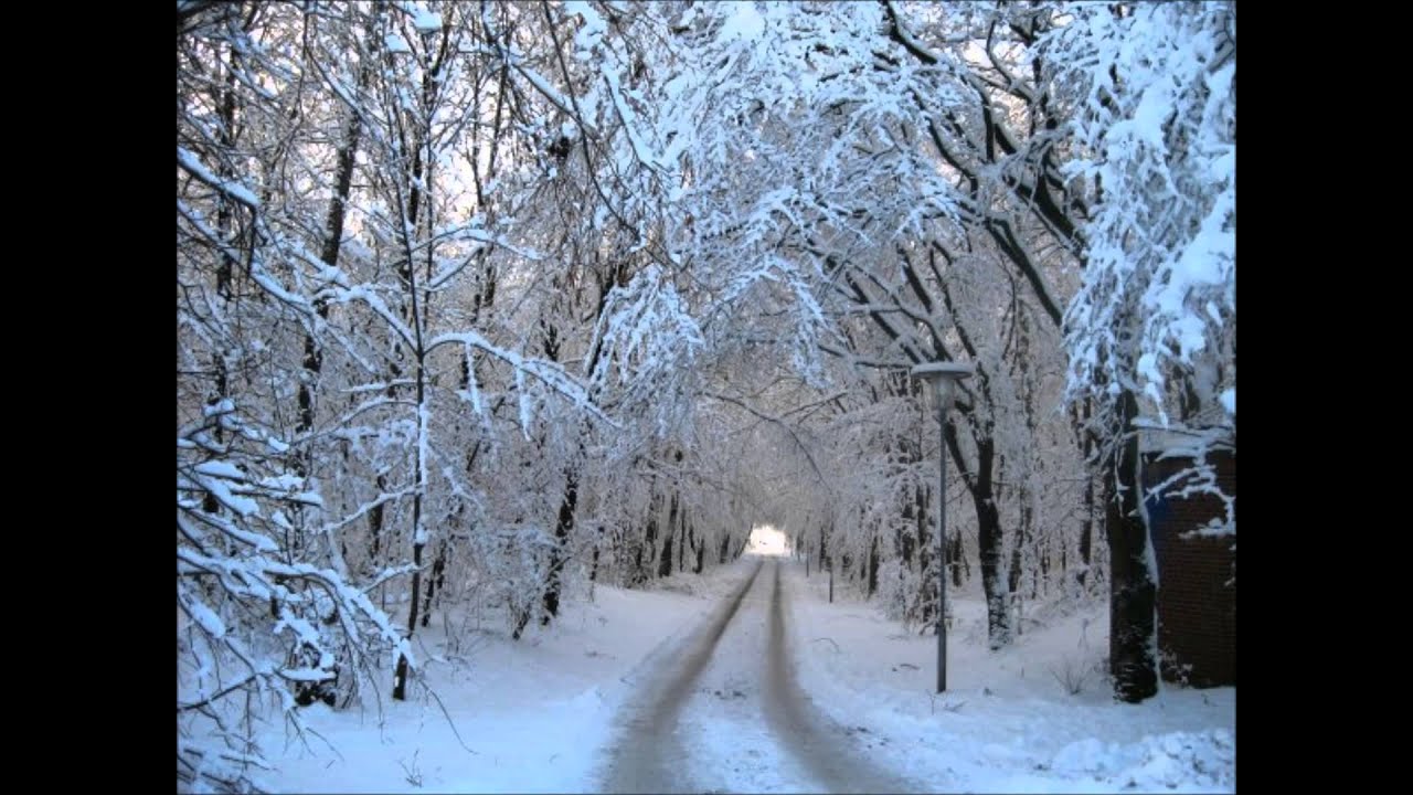 Islandica - M&oacute;&eth;ir M&iacute;n &Iacute; Kv&iacute;, Kv&iacute;