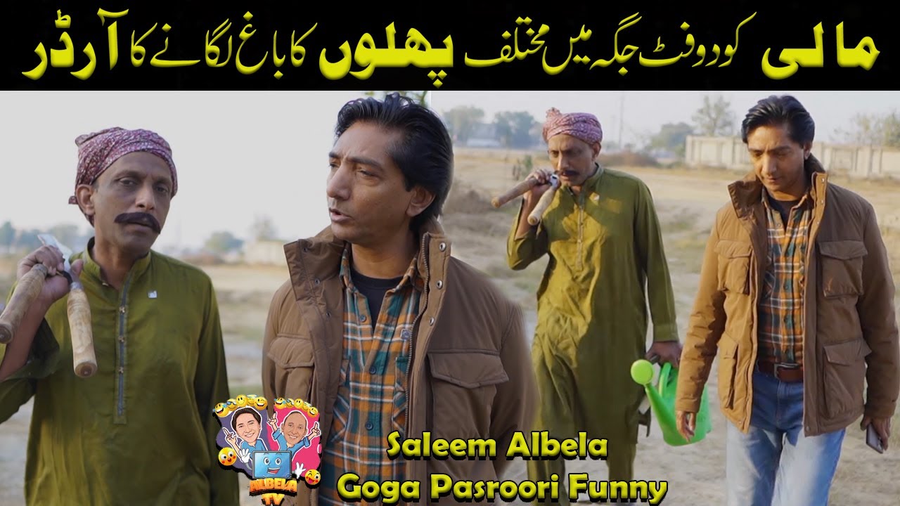 Order to plant a garden in a two-foot space Saleem Albela Goga Pasroori