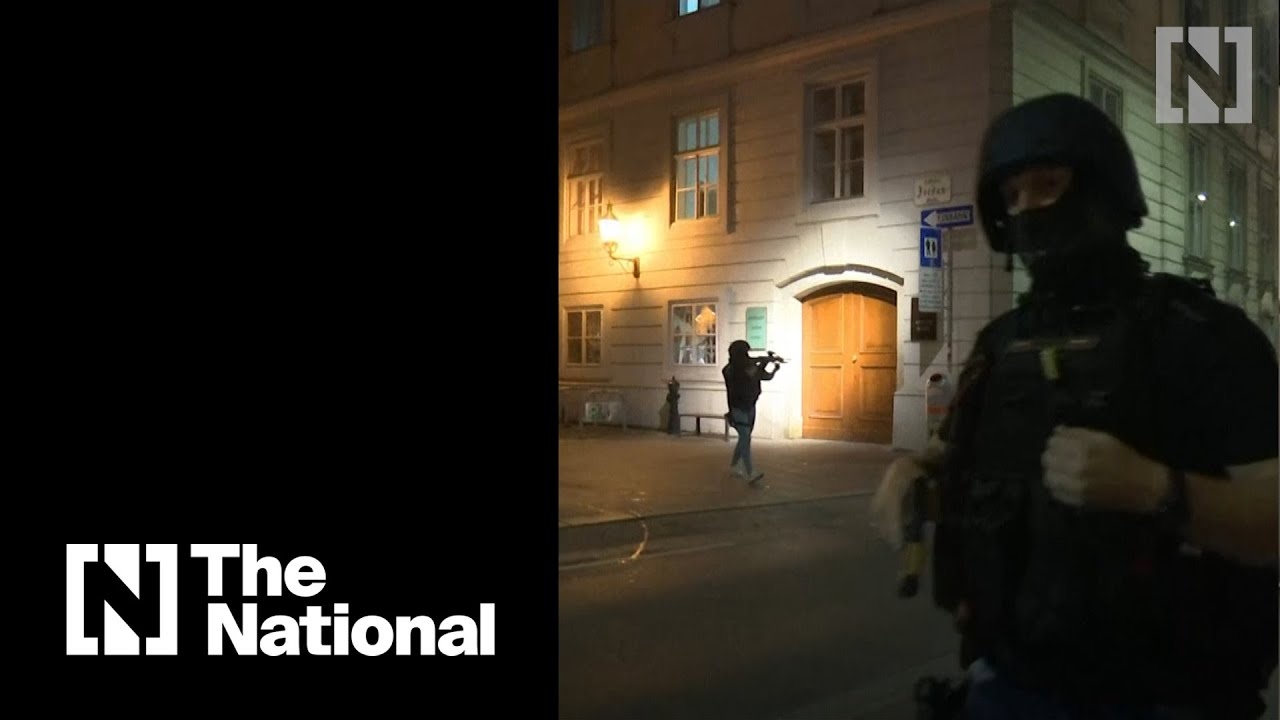 Two killed and several injured in Vienna shootings