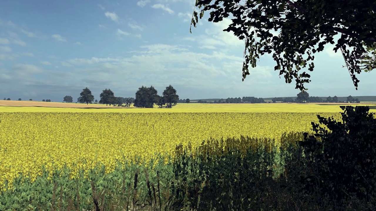 LS17 (V.I.P.) Laas Map by AndiScania / TLS-Modding