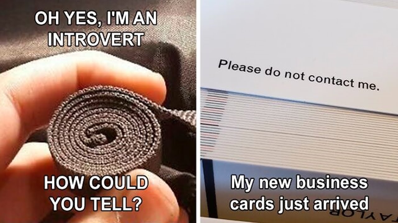 Memes About Being An Introvert That Are Absolutely Spot-On | Memes Time