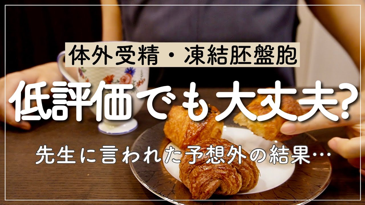 【不妊治療】凍結胚の評価を先生に聞いてきた｜体外受精