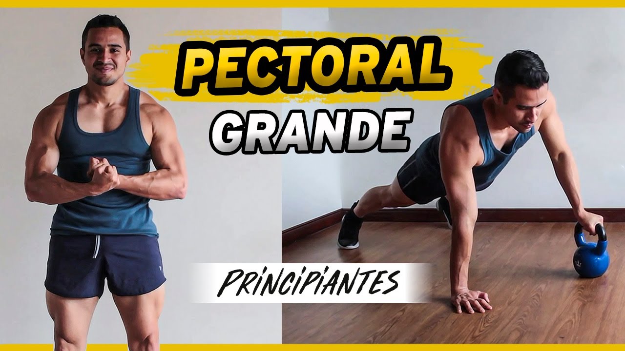 20 Minutos 💪PECHO MÁS GRANDE! Rutina de PECTORAL con Pesas Rusas - Principiantes
