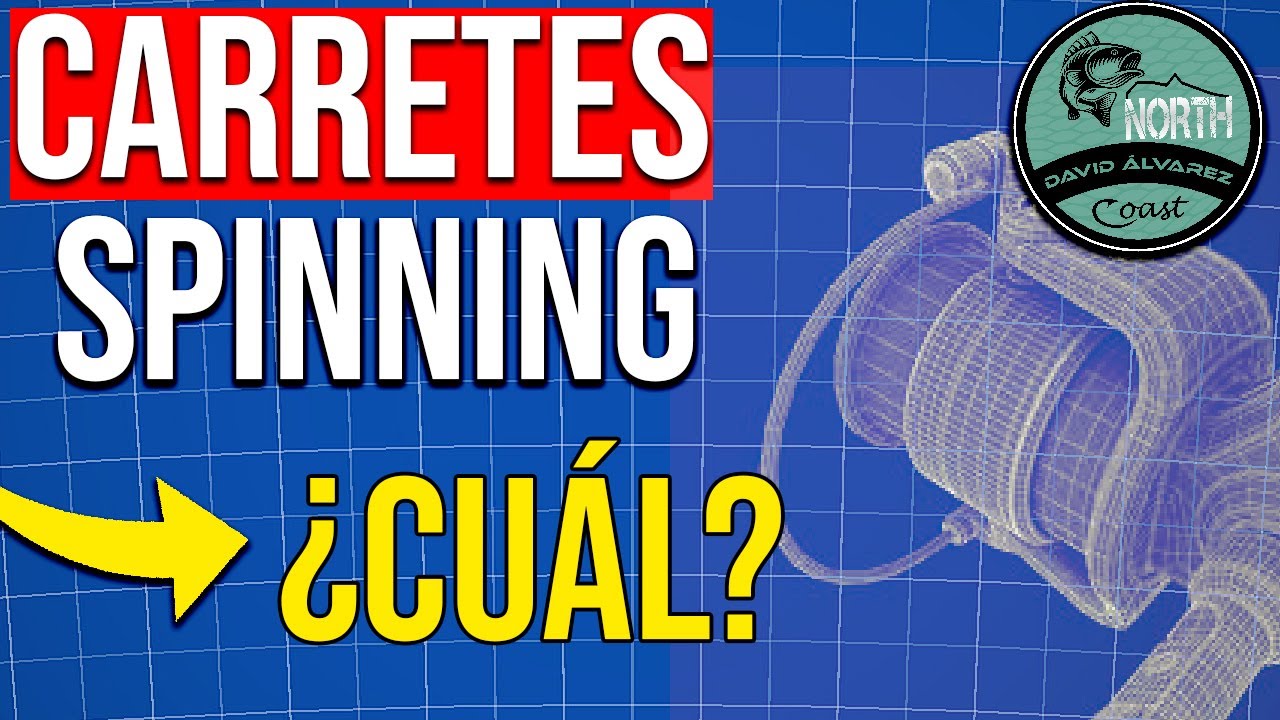 ¿Qué CARRETE de pesca SPINNING comprar? ► 4000 shimano o daiwa ?wallapop segunda mano?