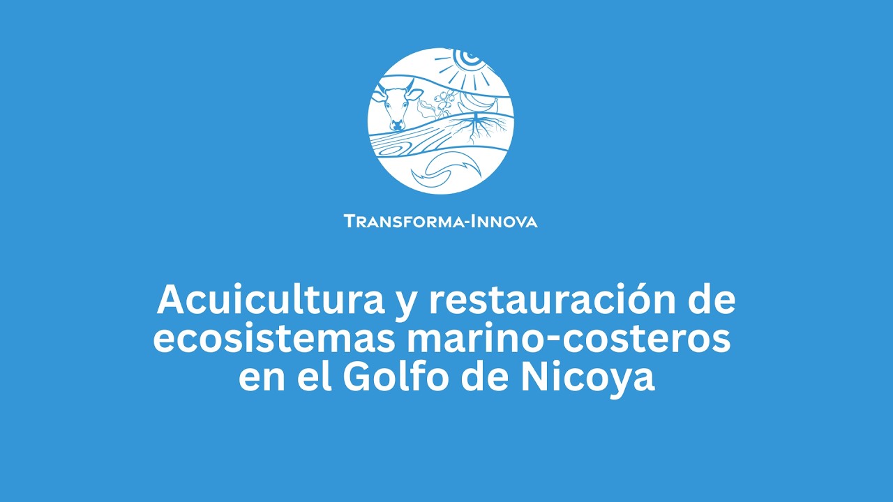 Charla Acuicultura y restauración de ecosistemas marino-costeros en el Golfo de Nicoya