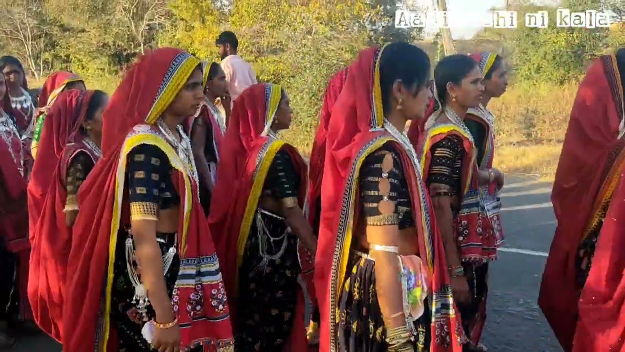 બામલાં સિમોડિ તાડની લીલી ગેડી વાવિરે ઘુમવે    L.D dodwa timali 2023 Aadivashi video