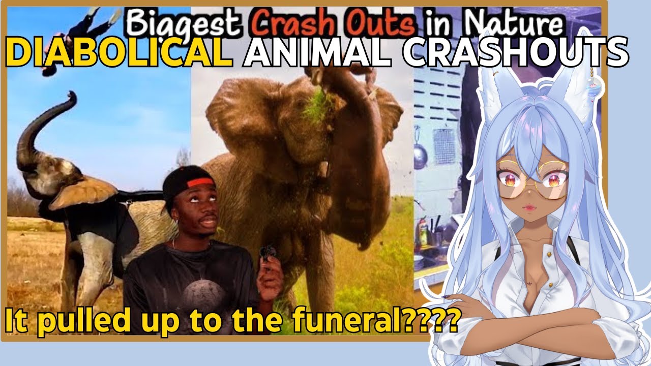 Vtuber Finds Out The Consequences Of Messing With Animals | Channie Reacts to Casual Geographic